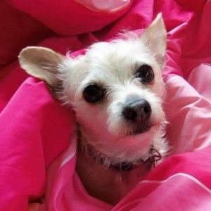 Meet your Posher, Jodi